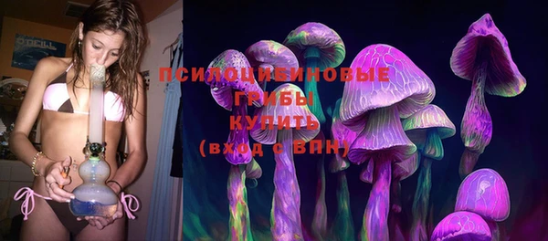 герыч Арсеньев